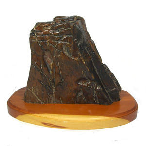 규화목.규화석규화석,硅化木, petrified wood