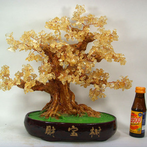 황수정나무 7호,수정나무재운발복