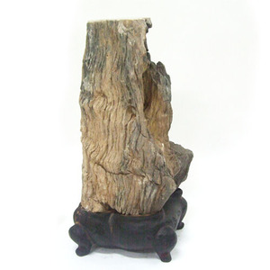 규화목/목화석/대형 규화석,硅化木, petrified wood