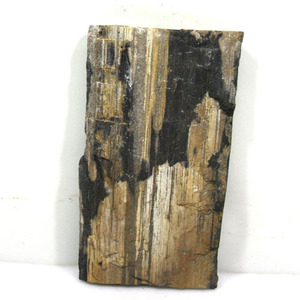 판상형 규화목中/ 규화석,硅化木, petrified wood/화석/원석/나무화석
