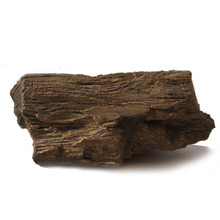 규화목규화석,硅化木, petrified wood