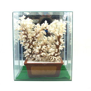 산호장식품/풍수인테리어/하얀산호/백산호/장식용산호